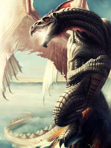 Amazing Dragon