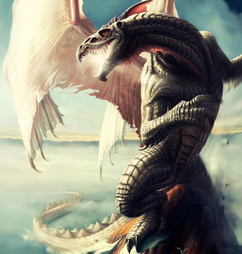 Amazing Dragon